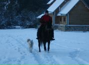 Фотография Тимошина Фёдора