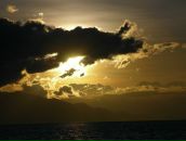 Фотография Максимчук Ирины