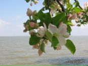 Фотография Александровой Светланы