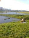 Фотография Коробов Николай