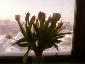 Фотография Гравшиной Яны