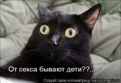 №9, Дмитрий Охрименко, 46 лет, Апатиты №9, Дмитрий Охрименко, 46 лет, Апатиты