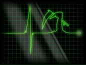 Фотография Воронина Елисея