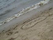 Фотография Андросовой Марии