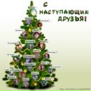 Фотография Балашова Никиты