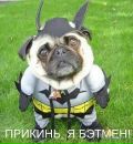 Толік Павленок фотография #41 (источник - https://vk.com/id83366063)