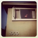 Игорь Хохлов фотография #11 (источник - https://vk.com/id512608)