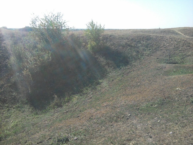 Сергей Олейник фотография #39