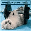 Вова Корнійчук фотография #43 (источник - https://vk.com/id95212874)