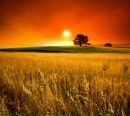 Фотография Габдрахимовой Регины