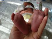 Фотография Чебыкин Константин