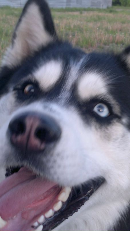 Денис Линник фотография #34