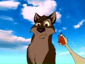 Фотография Ананьина Дмитрия