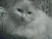 Фотография Ивакиной Наталии