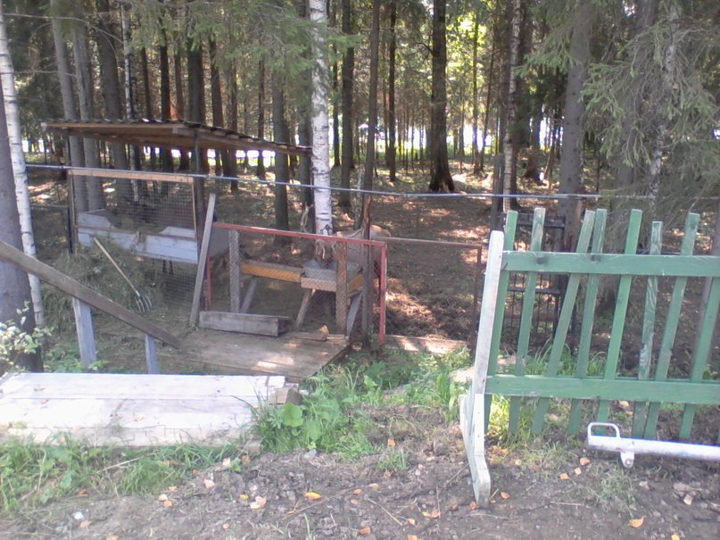 Виктор Крутиков фотография #42