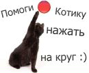Даша Гриник фотография #11 (источник - https://vk.com/id164088741)
