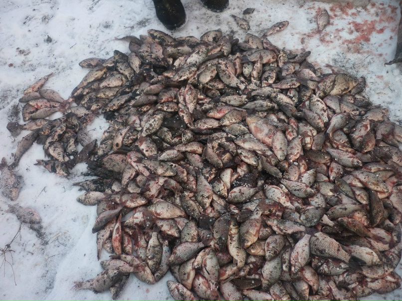 Дмитрий Кузькин фотография #44