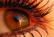 Фотография Минак Алёны