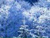 Софія Лицур фотография #12 (источник - https://vk.com/id39724621)