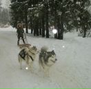 Фотография Тумаровой Нели