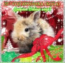 Надія Солдак фотография #15 (источник - https://vk.com/id33027773)