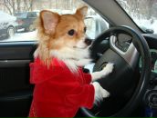 Фотография Шварцберга Григория