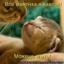 Юра Кошіль фотография #24 (источник - https://vk.com/id134414151)