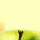 Елена Дмитриева фотография #19 (источник - https://vk.com/id485380)