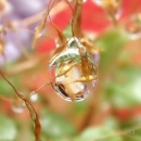 Фотография Семеновой Марины