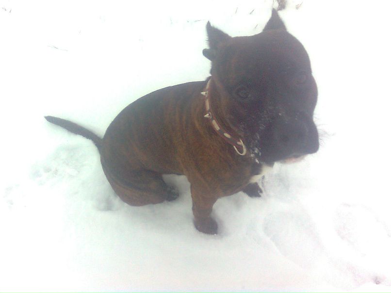 Вита Стибло фотография #7