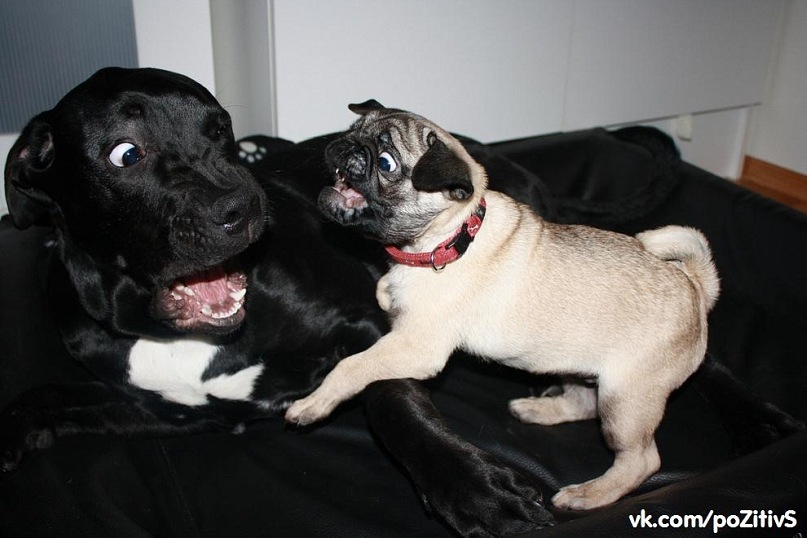 Макс Гресь фотография #38