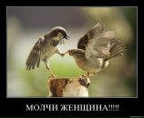 Фотография Стрекалова Павла