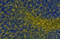 Антон Филь фотография #18 (источник - https://vk.com/id1657549)