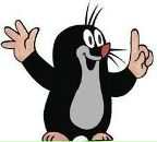 Фотография Лазарева Кирилла