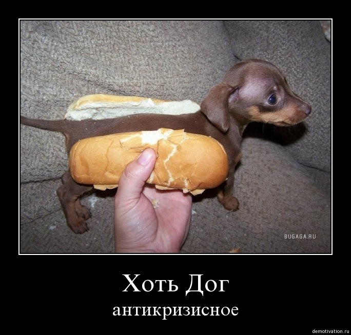 Тёма Злов фотография #36