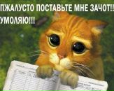 Фотография Засориной Анны