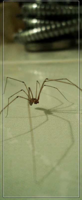 Тарас Дем фотография #5