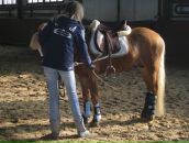 Фотография Игнатов Павел