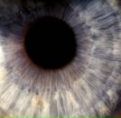 Фотография Букас Ольги