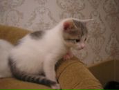 Фотография Чуприны Софии