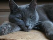 Фотография Mckenzie Dr