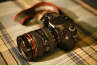 Фотография Максимова Наталья