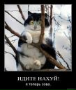 Міша Тополюк фотография #31 (источник - https://vk.com/id134324481)