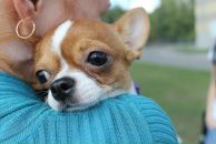 Фотография Силиной Евгении