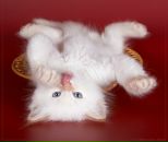 Фотография Виноградовой Оксаны