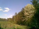 Андрій Пташніченко фотография #40 (источник - https://vk.com/id140301693)