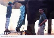 Сергей Барабанов фотография #32 (источник - https://vk.com/id1899187)