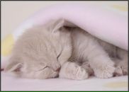 Дмитрий Полежаев фотография #29 (источник - https://vk.com/id763003)