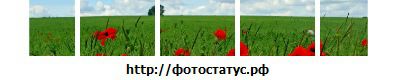 Фотография Сергей Бородавкин