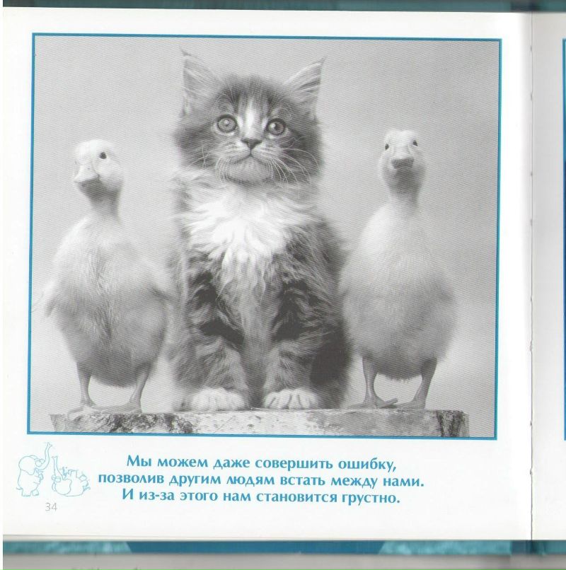 Роман Сербененко фотография #27